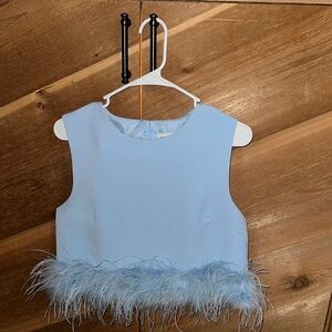 Light Blue Feather Trim Top